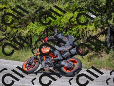 202505251510-DSC_3328_c4_