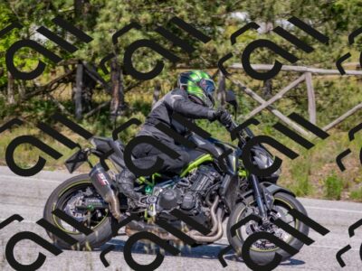 202505251511-DSC_3344_c4_