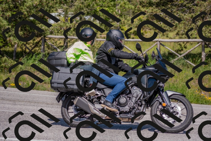 202505251530-DSC_3473_c4_