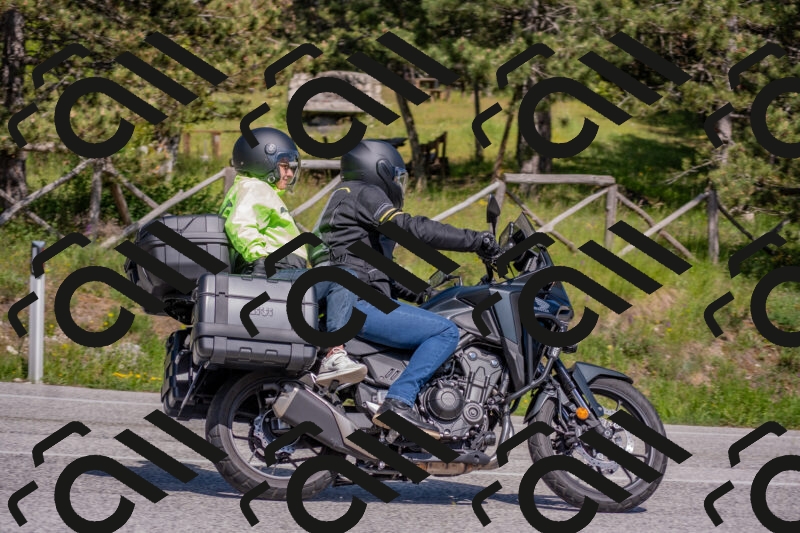 202505251530-DSC_3474_c4_