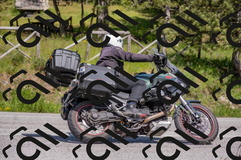 202505251531-DSC_3485_c4_