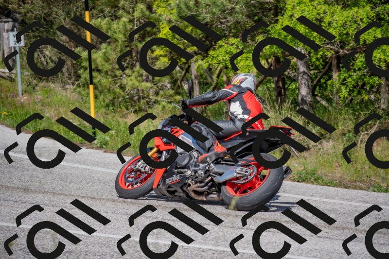 202505251532-DSC_3495_c4_