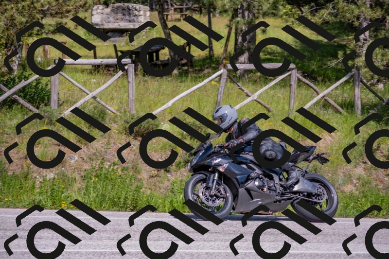 202505251533-DSC_3502_c4_