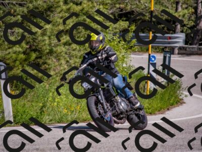 202505251533-DSC_3511_c4_