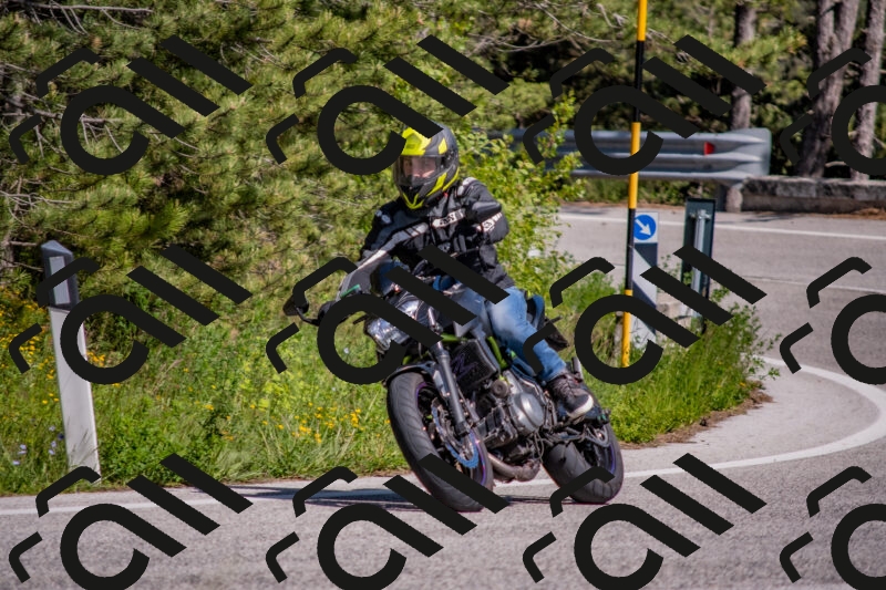 202505251533-DSC_3511_c4_