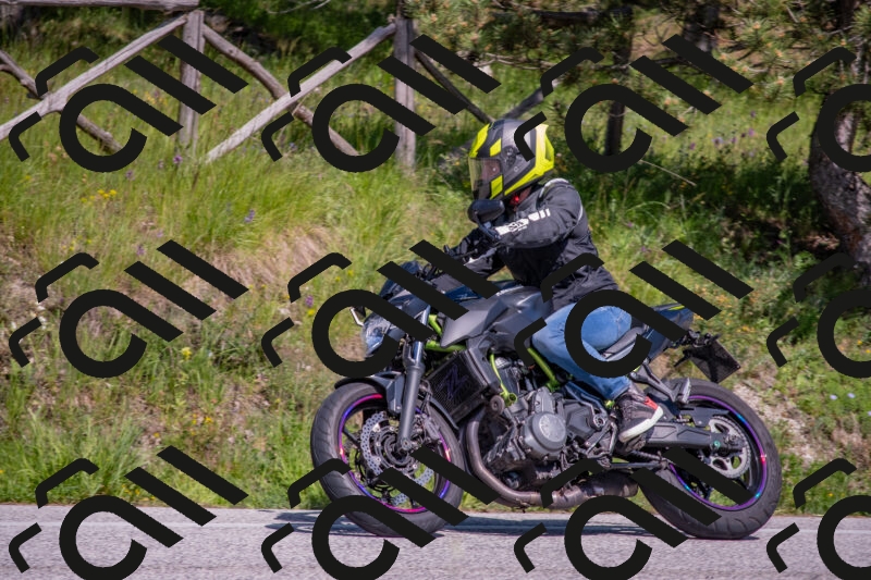 202505251533-DSC_3512_c4_