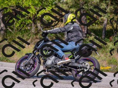 202505251533-DSC_3513_c4_