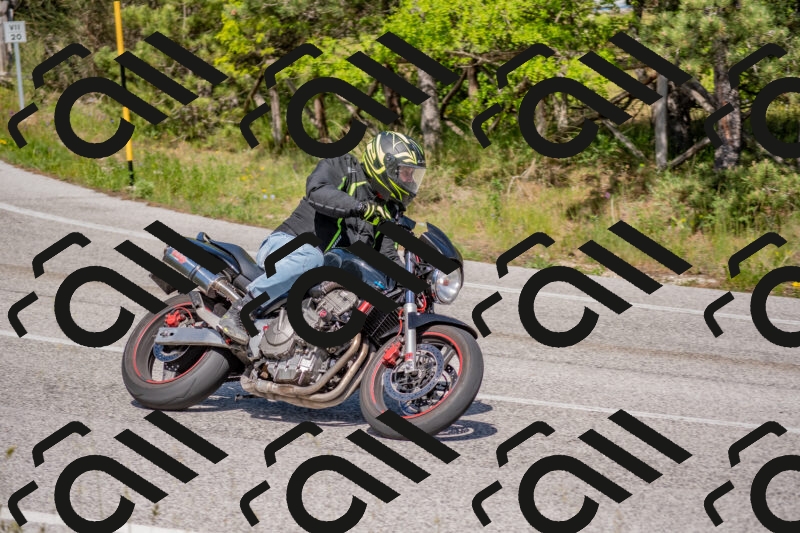 202505251534-DSC_3529_c4_