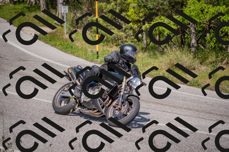 202505251534-DSC_3531_c4_