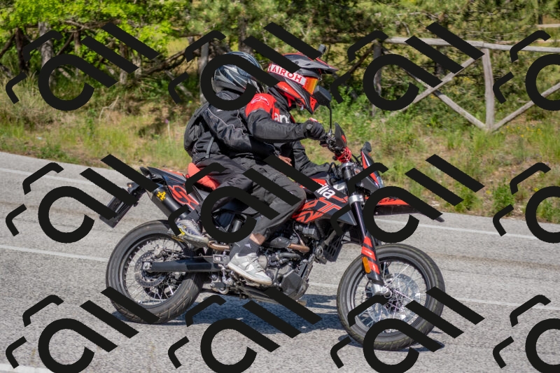 202505251534-DSC_3533_c4_