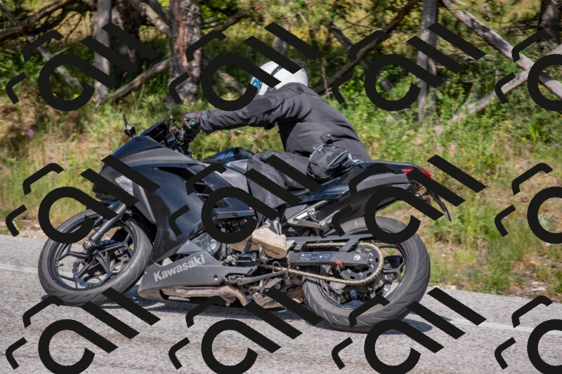 202505251534-DSC_3541_c4_