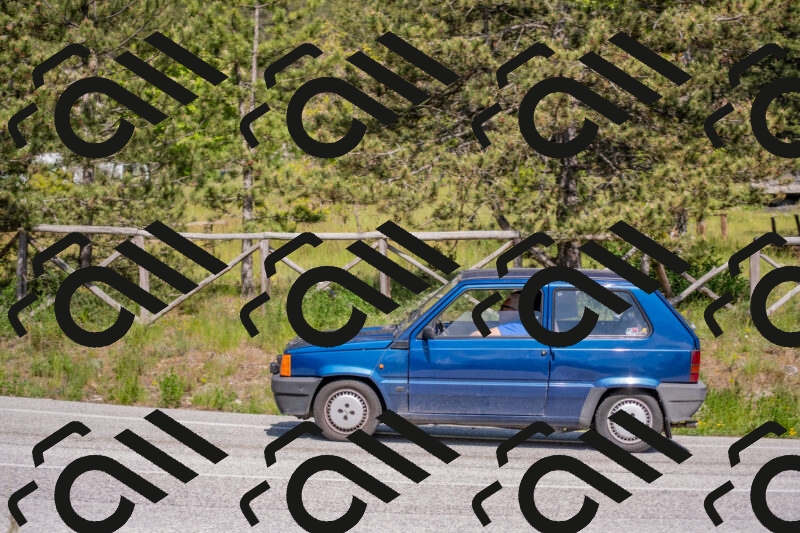 202505251535-DSC_3544_c4_