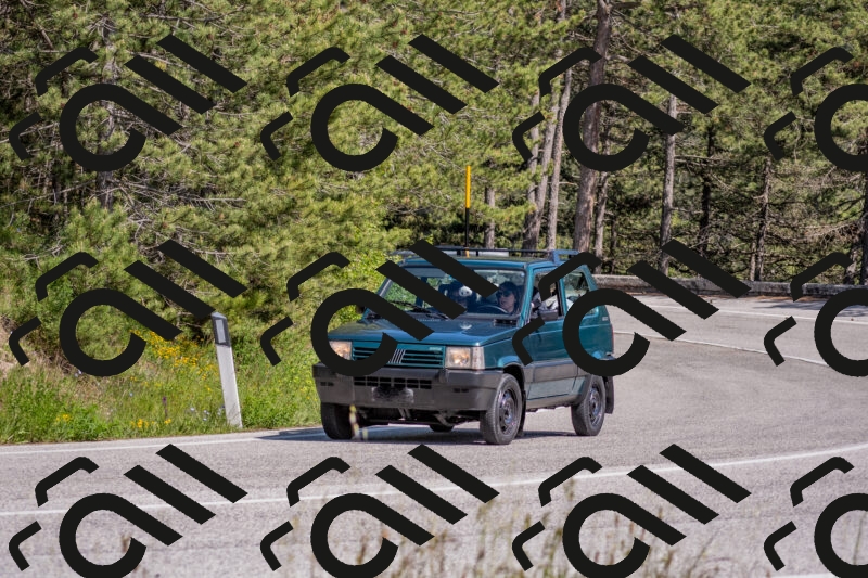 202505251535-DSC_3553_c4_