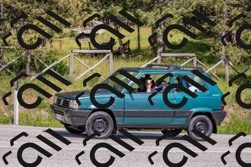 202505251535-DSC_3555_c4_