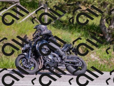 202505251538-DSC_3660_c4_