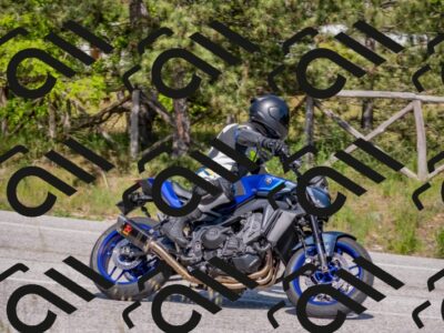 202505251539-DSC_3672_c4_