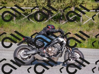 202505251545-DSC_3697_c4_