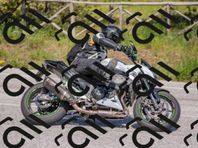 202505251545-DSC_3702_c4_