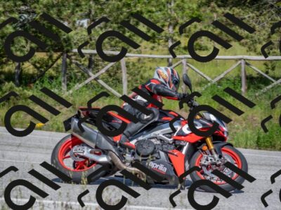 202505251550-DSC_3737_c4_