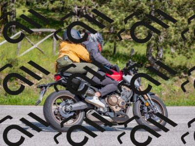 202505251551-DSC_3741_c4_