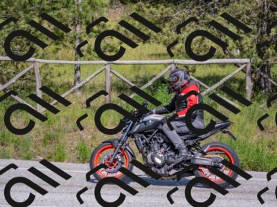 202505251553-DSC_3749_c4_