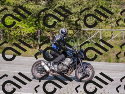 202505251554-DSC_3758_c4_