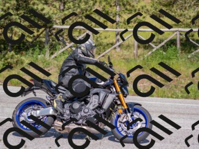 202505251555-DSC_3761_c4_