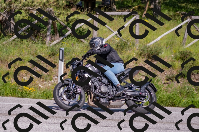 202505251602-DSC_3838_c4_