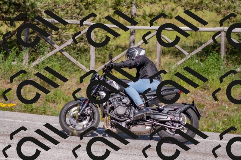 202505251602-DSC_3839_c4_