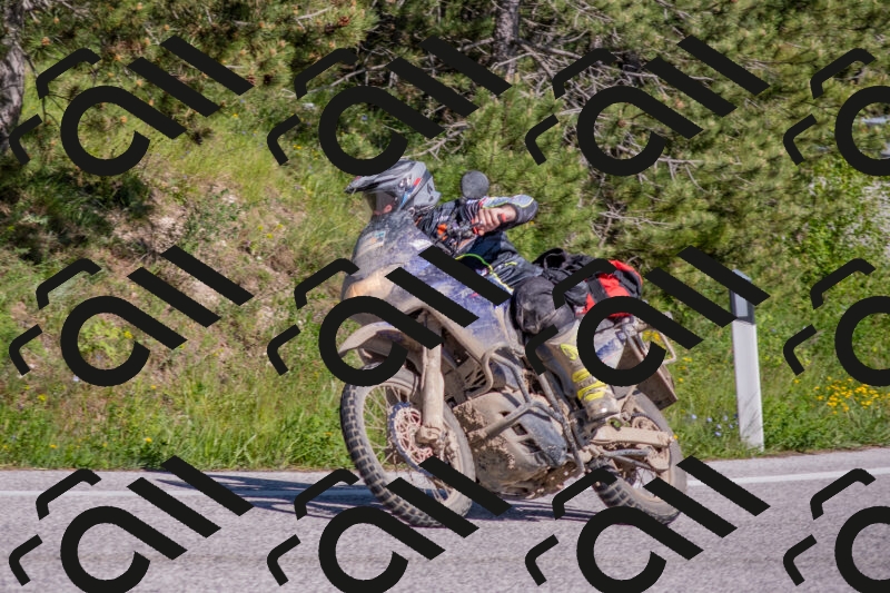 202505251603-DSC_3842_c4_