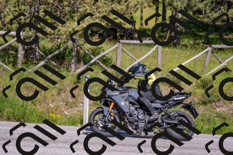 202505251604-DSC_3853_c4_