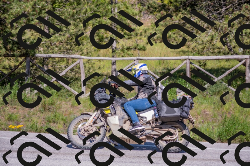 202505251604-DSC_3861_c4_