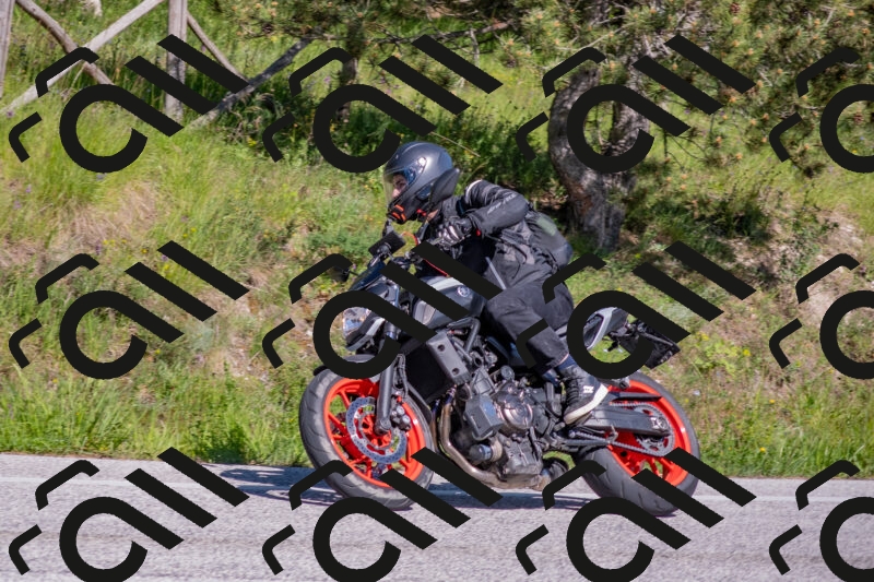 202505251604-DSC_3864_c4_