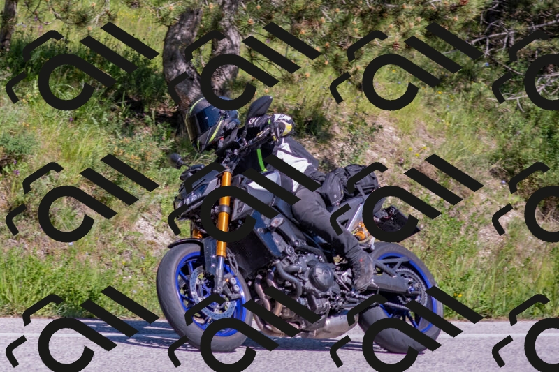 202505251604-DSC_3866_c4_