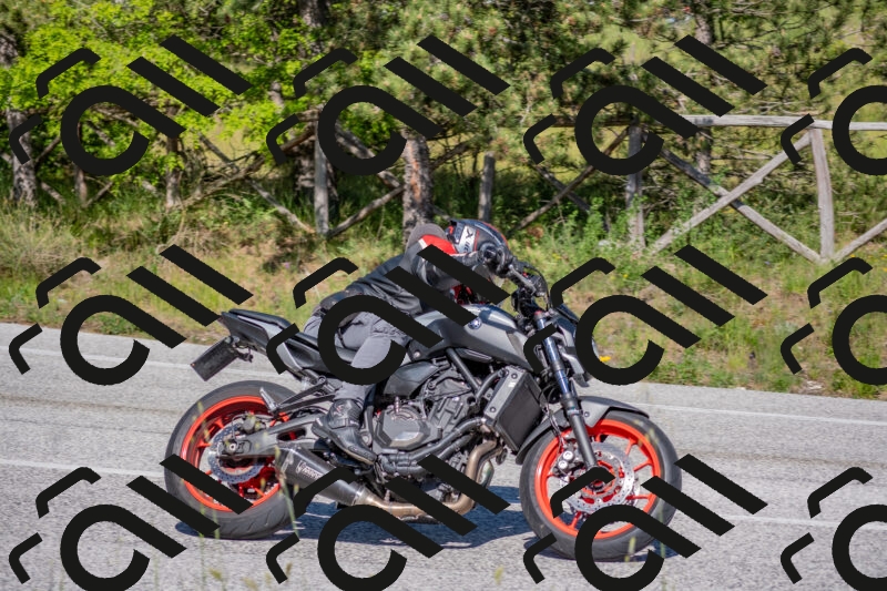 202505251604-DSC_3875_c4_