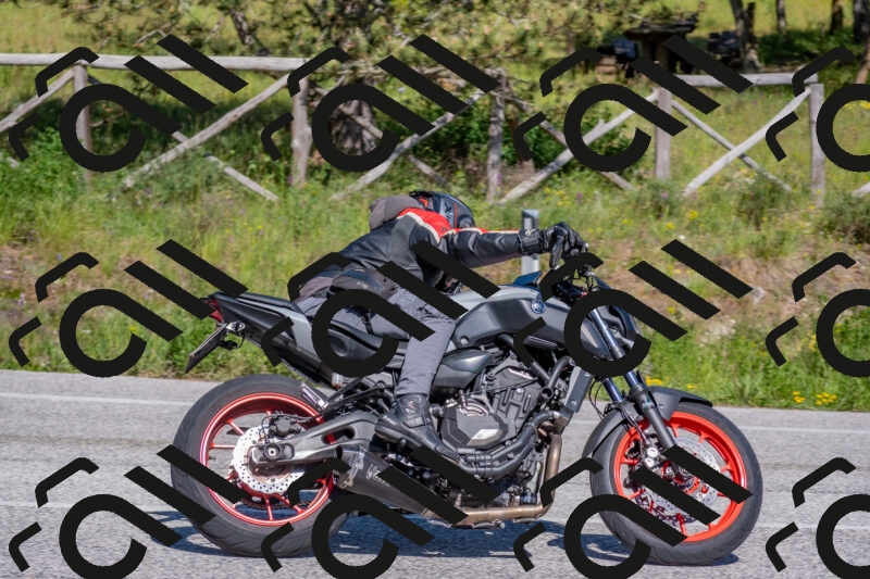 202505251604-DSC_3876_c4_