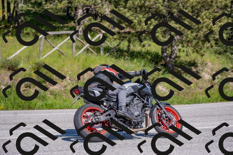 202505251604-DSC_3877_c4_