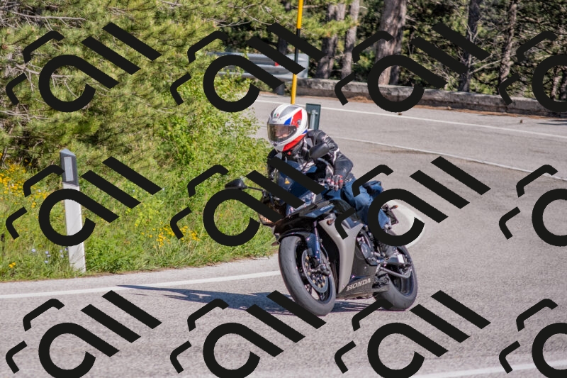 202505251606-DSC_3890_c4_