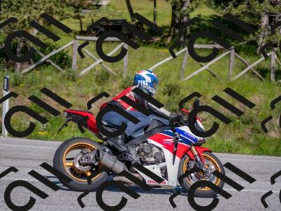 202505251610-DSC_3914_c4_