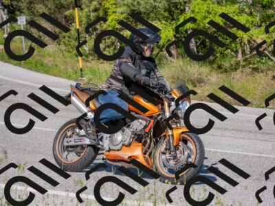 202505251619-DSC_3995_c4_