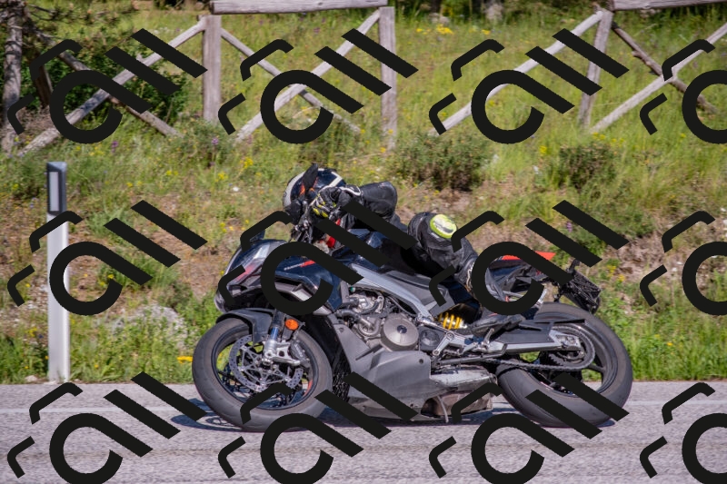 202505251630-DSC_4088_c4_