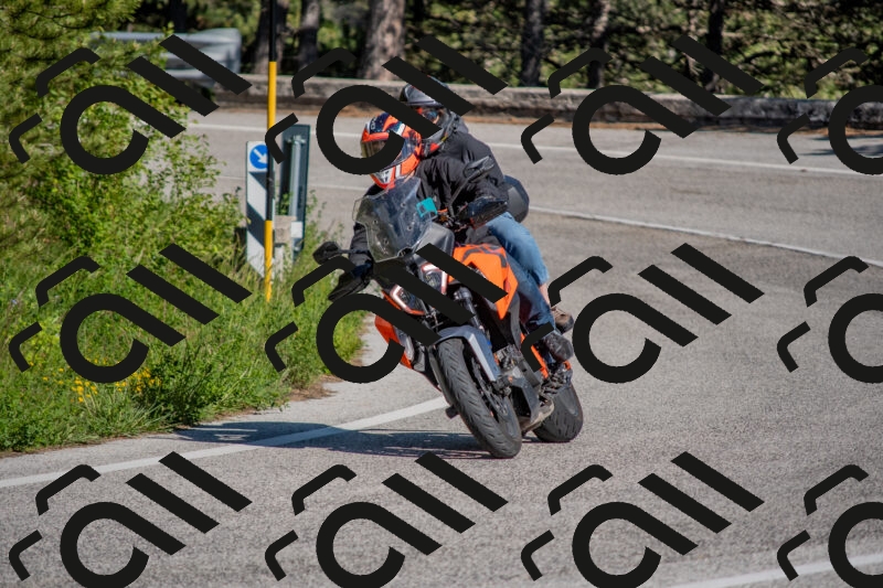 202505251631-DSC_4094_c4_