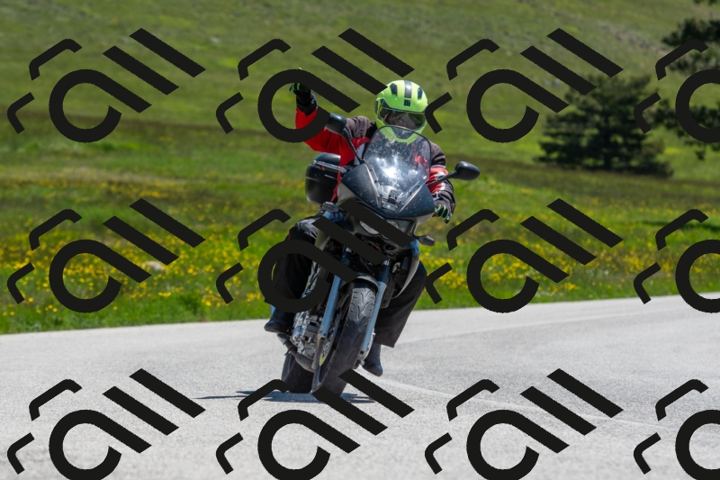 20250525120103-R01_8003_r1