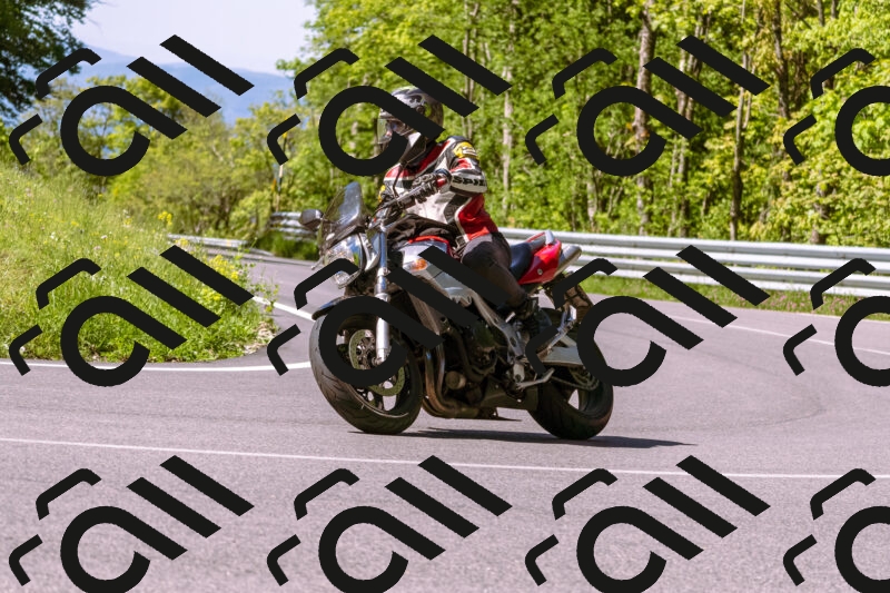 202505250927-_DSC5159_d1_