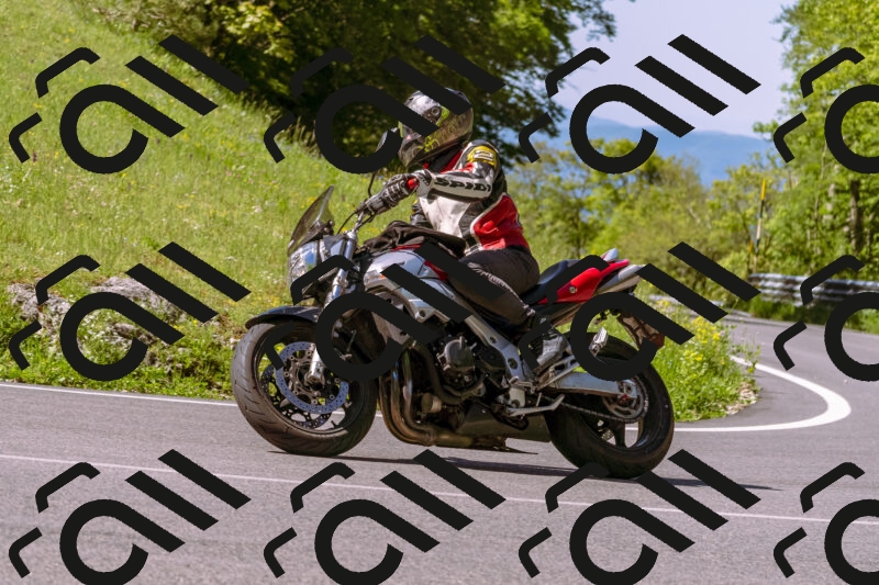 202505250927-_DSC5160_d1_