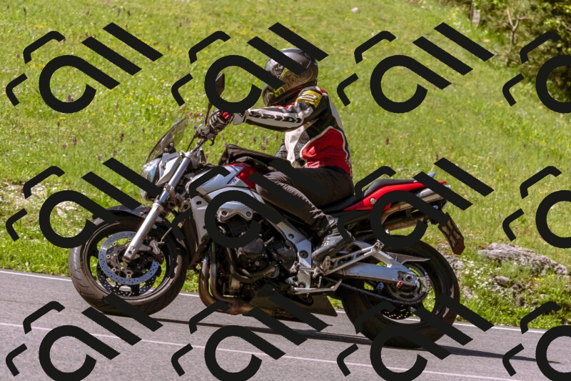 202505250927-_DSC5161_d1_