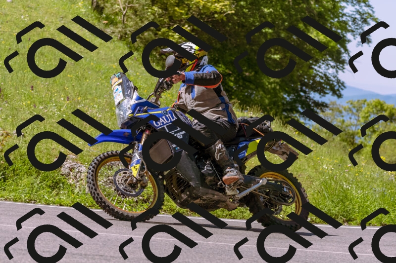 202505250949-_DSC5194_d1_