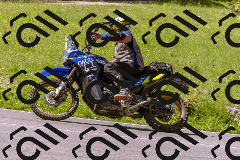 202505250949-_DSC5195_d1_