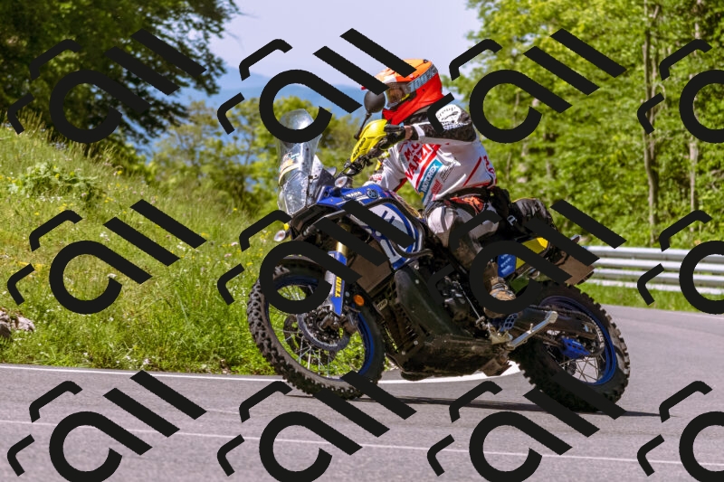 202505250949-_DSC5198_d1_