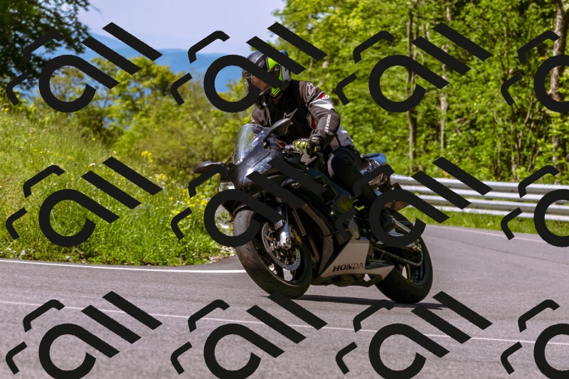 202505250950-_DSC5203_d1_